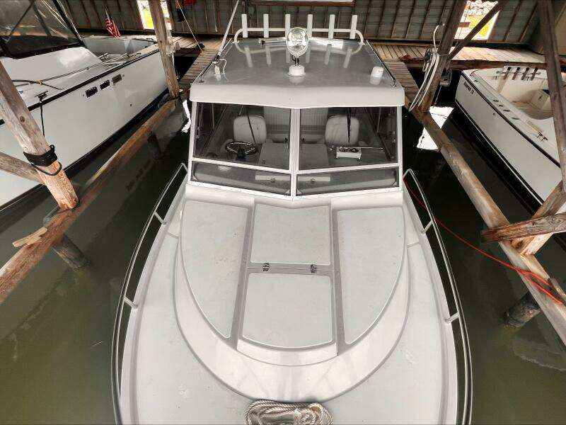 26ft Shamrock Yacht For Sale