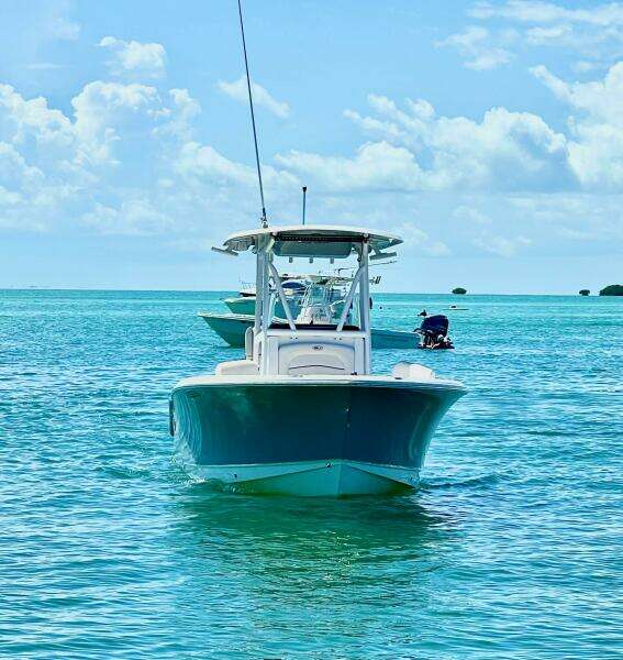 23ft Sea Hunt Yacht For Sale