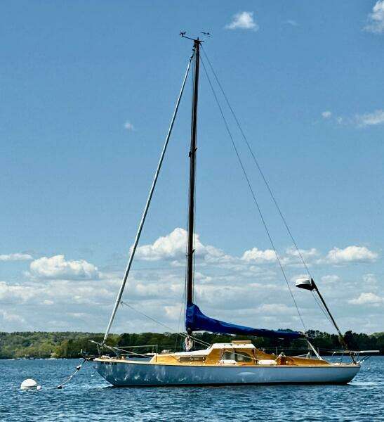 30ft Van De Stadt Yacht For Sale