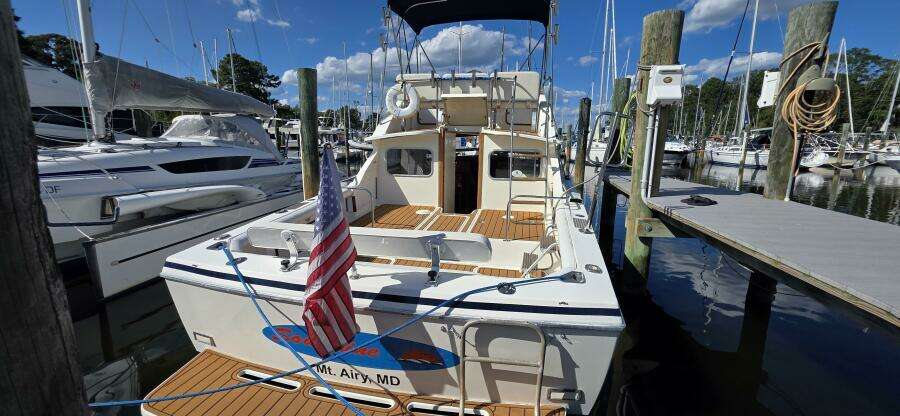SoulShine 28ft Bertram Yacht For Sale