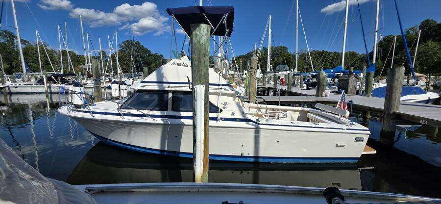 SoulShine 28ft Bertram Yacht For Sale