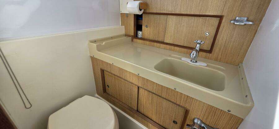 SoulShine 28ft Bertram Yacht For Sale