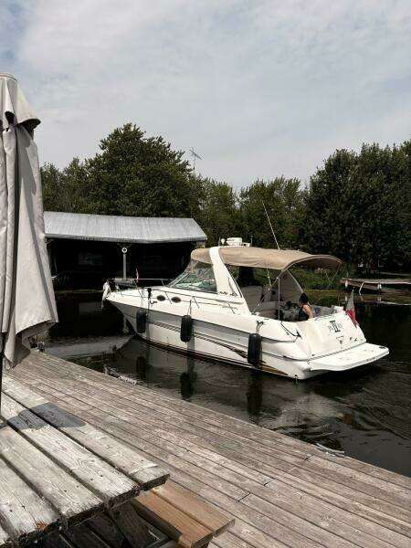 31ft Sea Ray Yacht For Sale