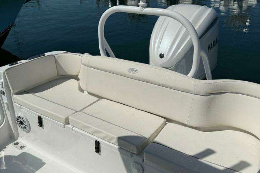 25ft Sea Hunt Yacht For Sale