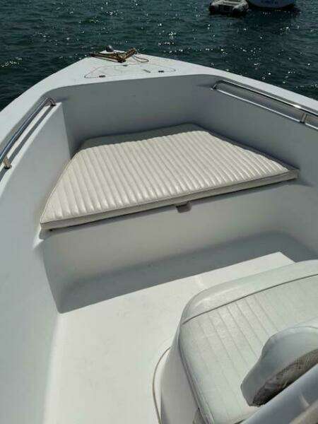 20ft Sea Pro Yacht For Sale