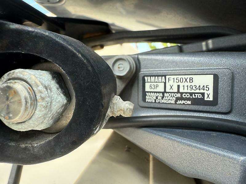 0005344336