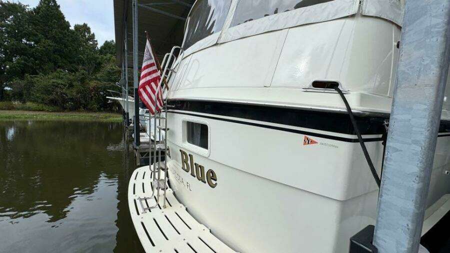 Stern