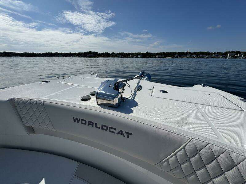 29ft World Cat Yacht For Sale