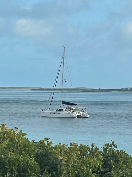 Used Sail Catamaran for sale