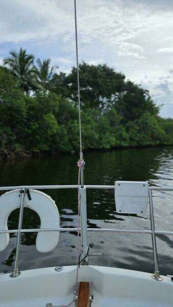 34ft Peterson Yacht For Sale