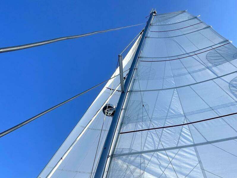 Tahu a 45ft Neel Yacht For Sale