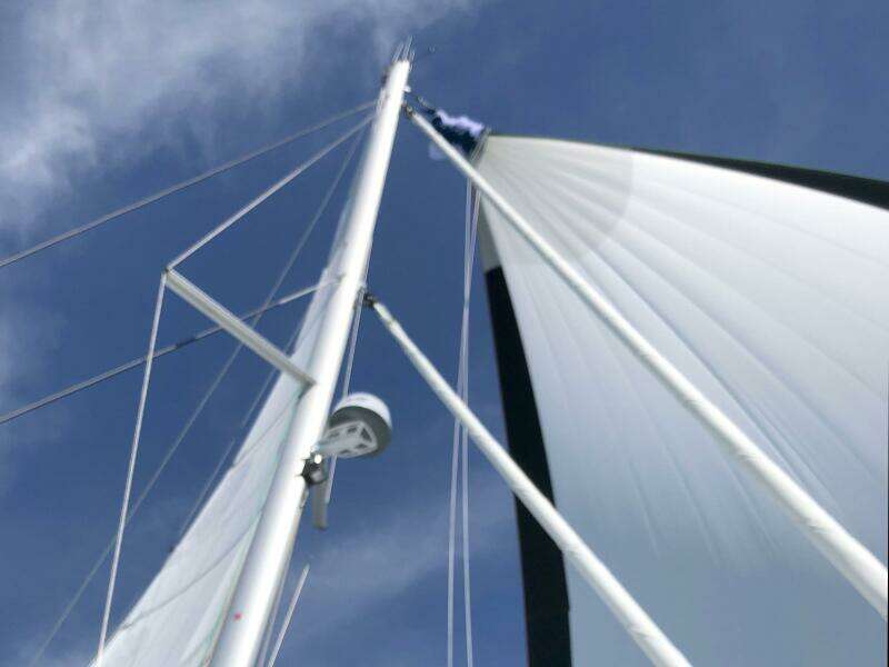 Tahu a 45ft Neel Yacht For Sale