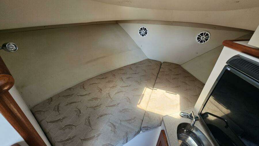 Less Worries 30ft Pursuit Yacht For Sale