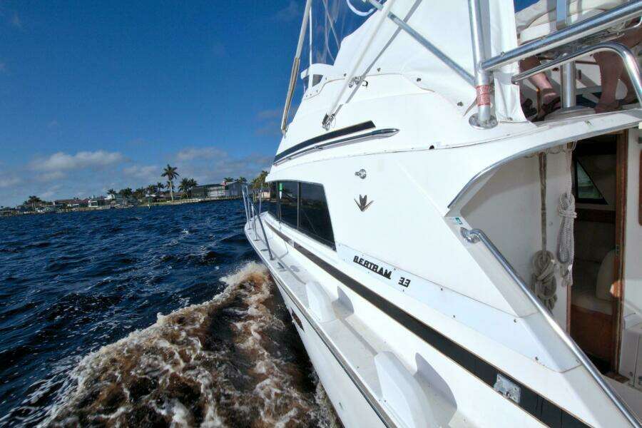 Surface Interval IV 33ft Bertram Yacht For Sale
