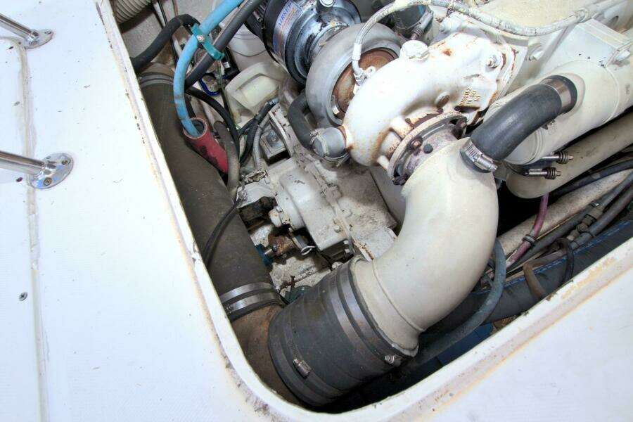 Surface Interval IV 33ft Bertram Yacht For Sale
