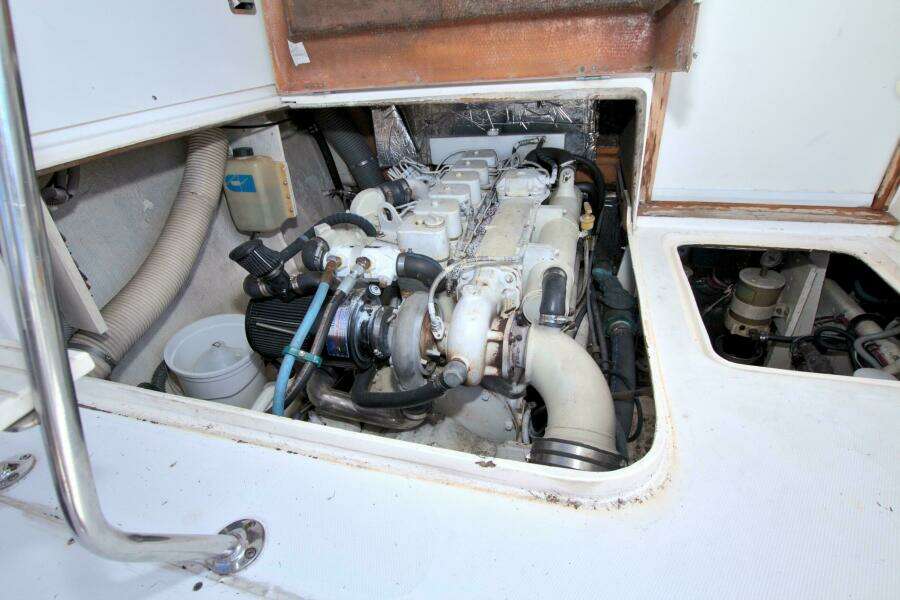 Surface Interval IV 33ft Bertram Yacht For Sale
