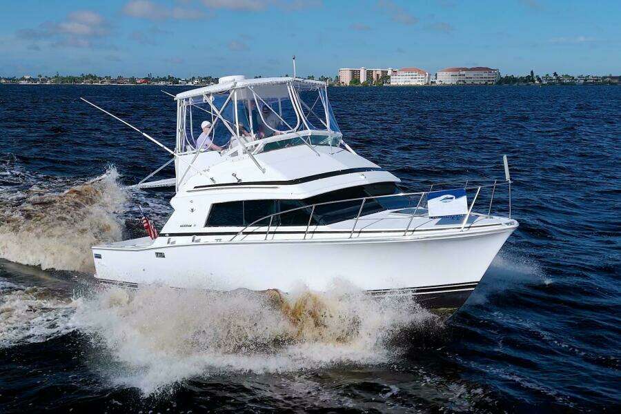 Surface Interval IV 33ft Bertram Yacht For Sale