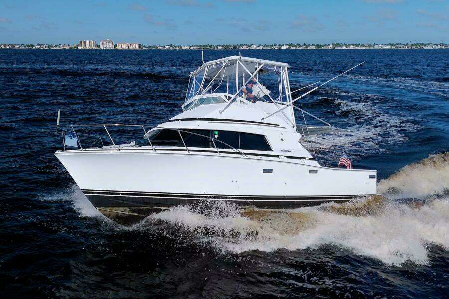 Surface Interval IV 33ft Bertram Yacht For Sale
