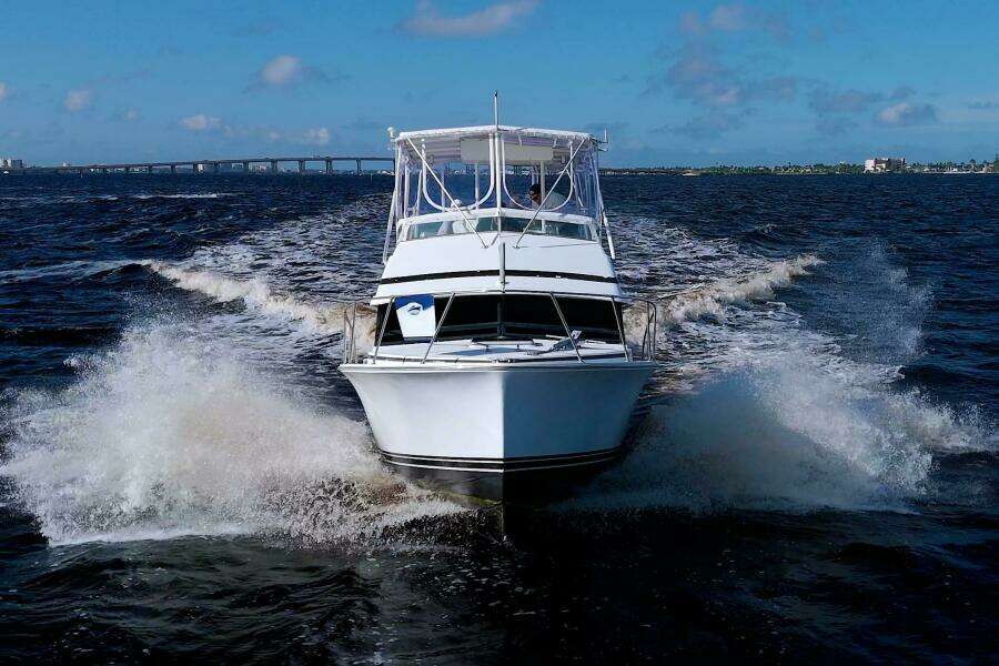 Surface Interval IV 33ft Bertram Yacht For Sale