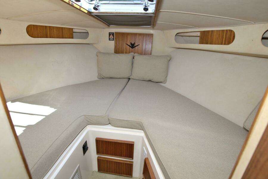 Surface Interval IV 33ft Bertram Yacht For Sale