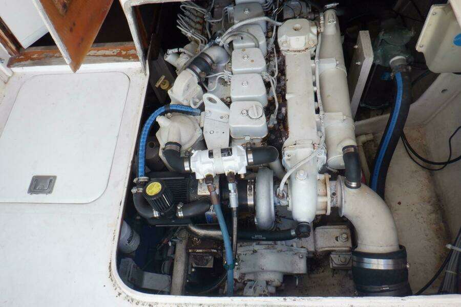 Surface Interval IV 33ft Bertram Yacht For Sale