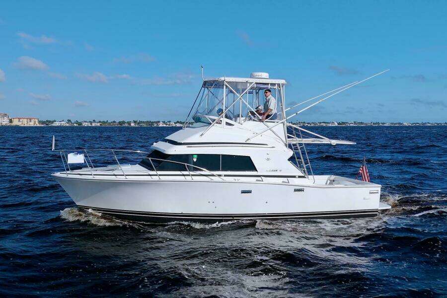 Surface Interval IV 33ft Bertram Yacht For Sale