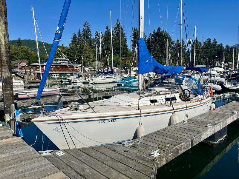 Pegasus 36ft Catalina Yacht For Sale