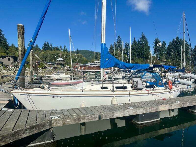 Pegasus 36ft Catalina Yacht For Sale