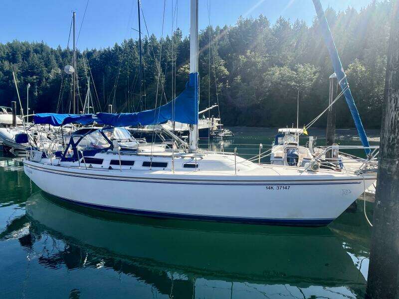Pegasus 36ft Catalina Yacht For Sale