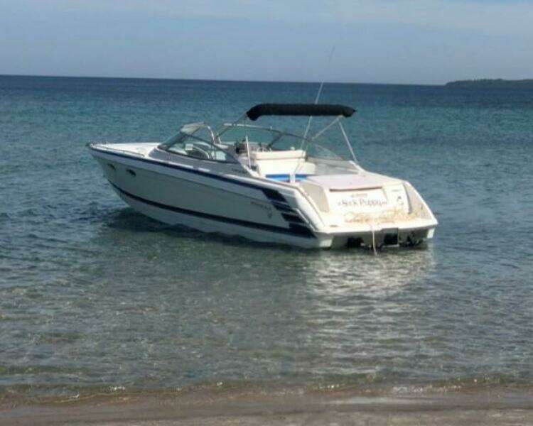 Sick Puppy 33ft Formula Yacht For Sale