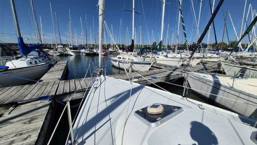 Good To Go II 36ft Catalina Yacht For Sale