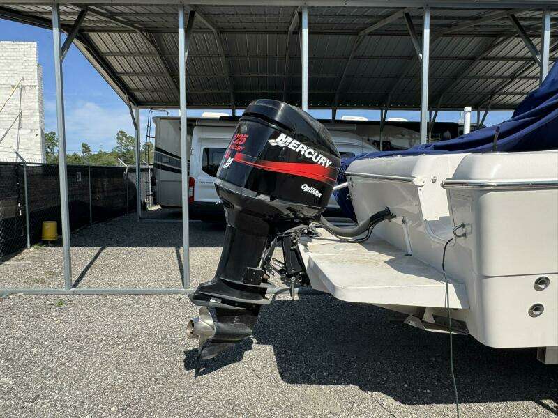 24ft Pro Line Yacht For Sale