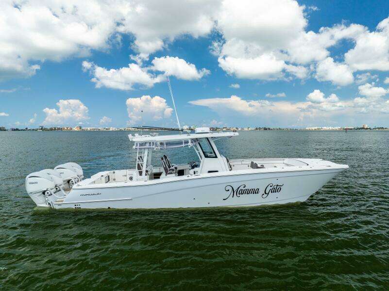 40ft World Cat Yacht For Sale