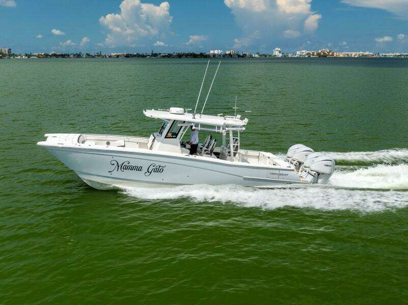 40ft World Cat Yacht For Sale