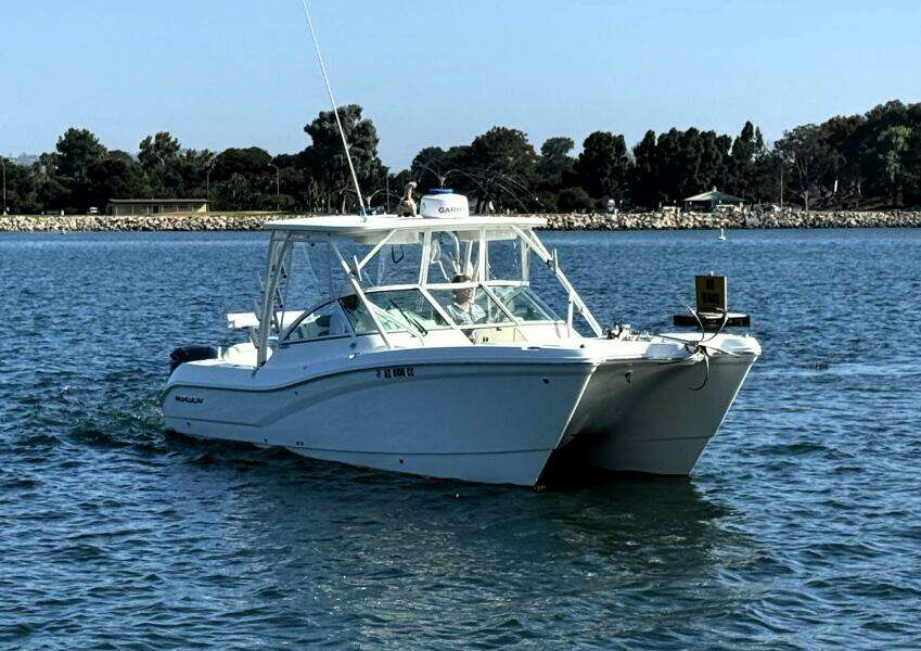 29ft World Cat Yacht For Sale