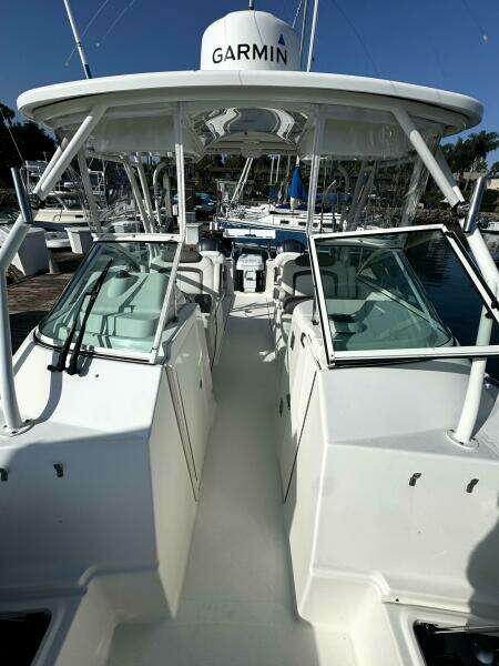 29ft World Cat Yacht For Sale