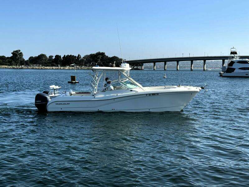 29ft World Cat Yacht For Sale