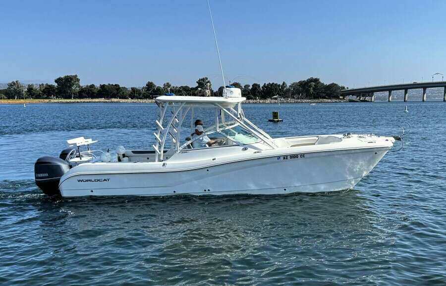29ft World Cat Yacht For Sale