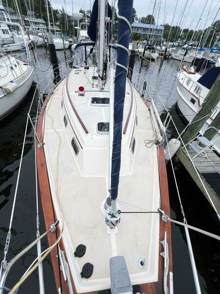 DELICIA 40ft Island Packet Yacht For Sale