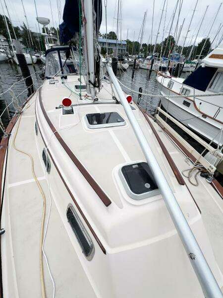 DELICIA 40ft Island Packet Yacht For Sale
