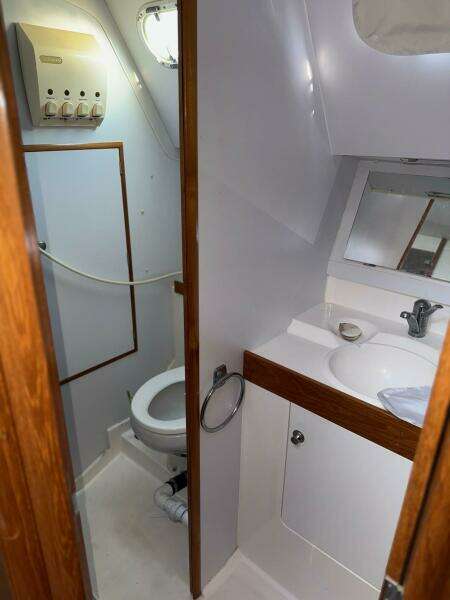 head, vanity and shower head, vanity and shower