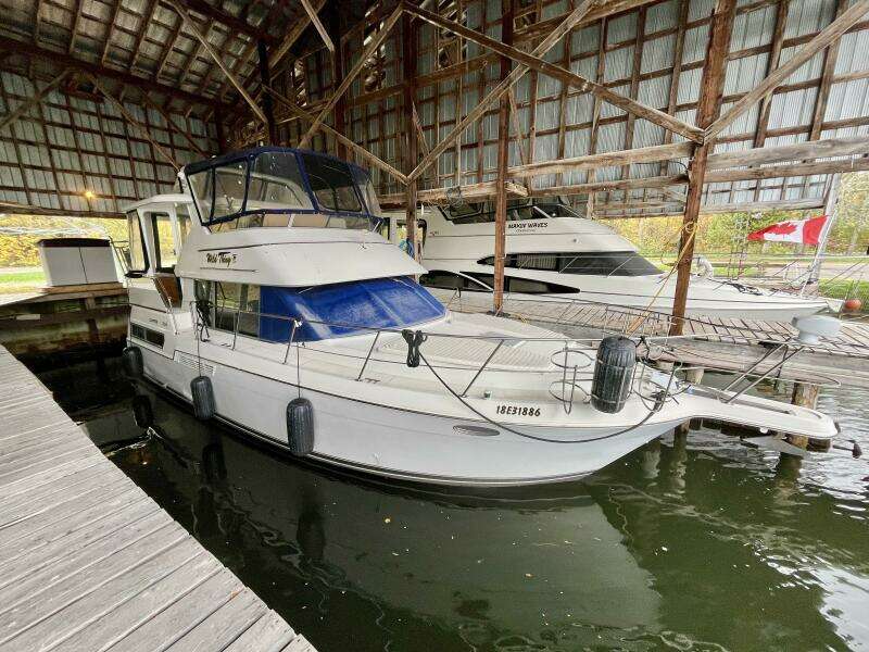 WILD THING IV 35ft Carver Yacht For Sale