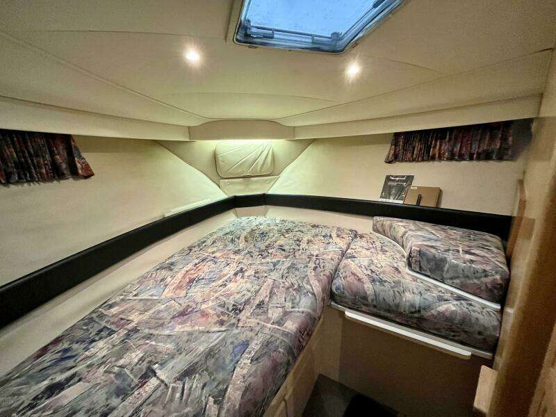 WILD THING IV 35ft Carver Yacht For Sale