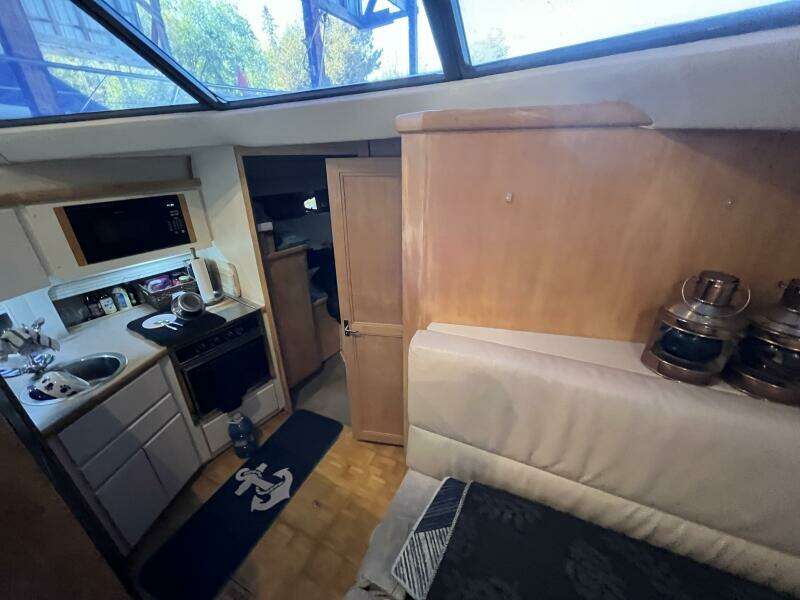 WILD THING IV 35ft Carver Yacht For Sale
