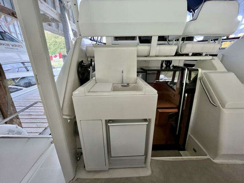 WILD THING IV 35ft Carver Yacht For Sale