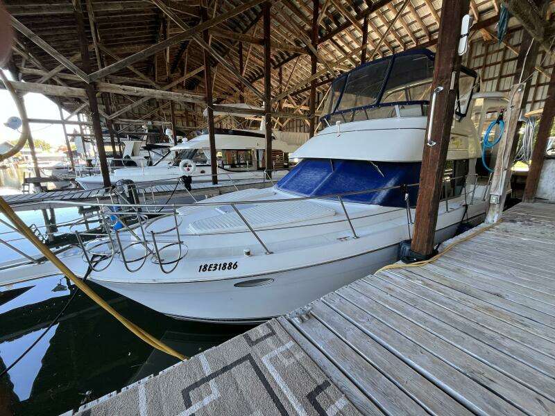WILD THING IV 35ft Carver Yacht For Sale
