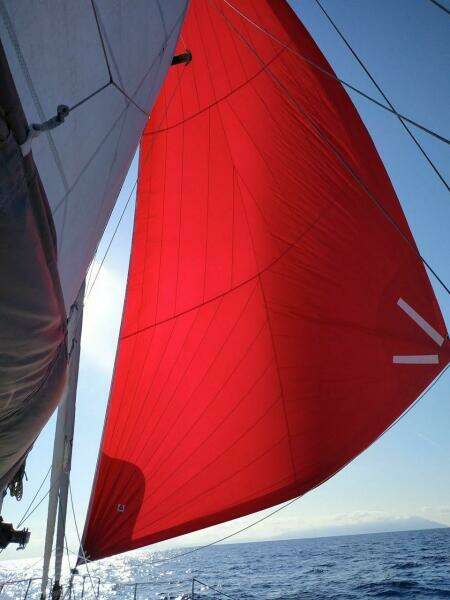 IMAGINE 42ft Custom Yacht For Sale