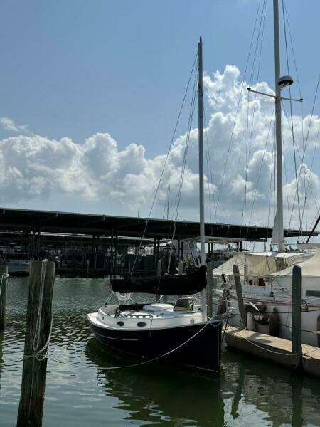 Com-Pac Horizon Cat Com-Pac Horizon Cat