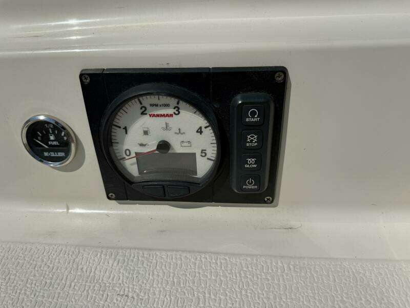 Horizon Cat Horizon Cat