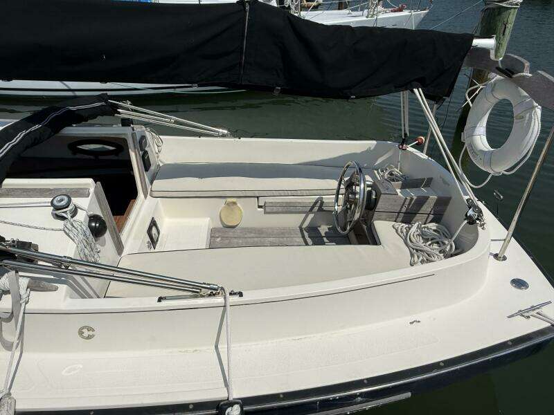 Horizon Cat Cockpit Horizon Cat Cockpit